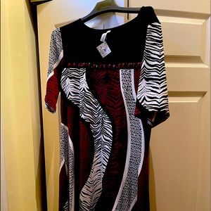 Casual or Dressy Dress